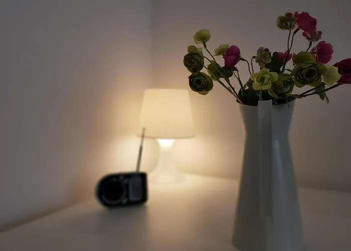 招待所 - Center 福森