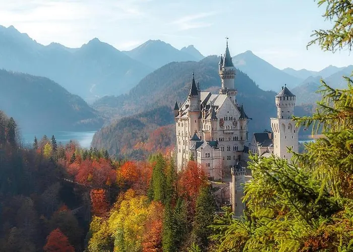 - Center 招待所 福森